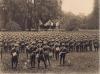 Seven original prints of photographs of General Sir Henry Horne